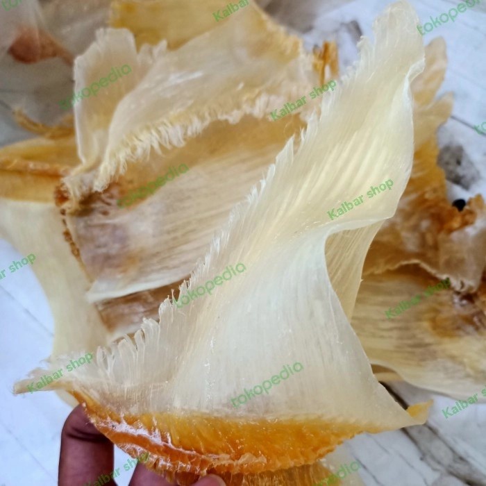 

Sirip Ikan Hiu (300g) Hu Chi-Huchi-Hisit Kering Asli Kalimantan Barat