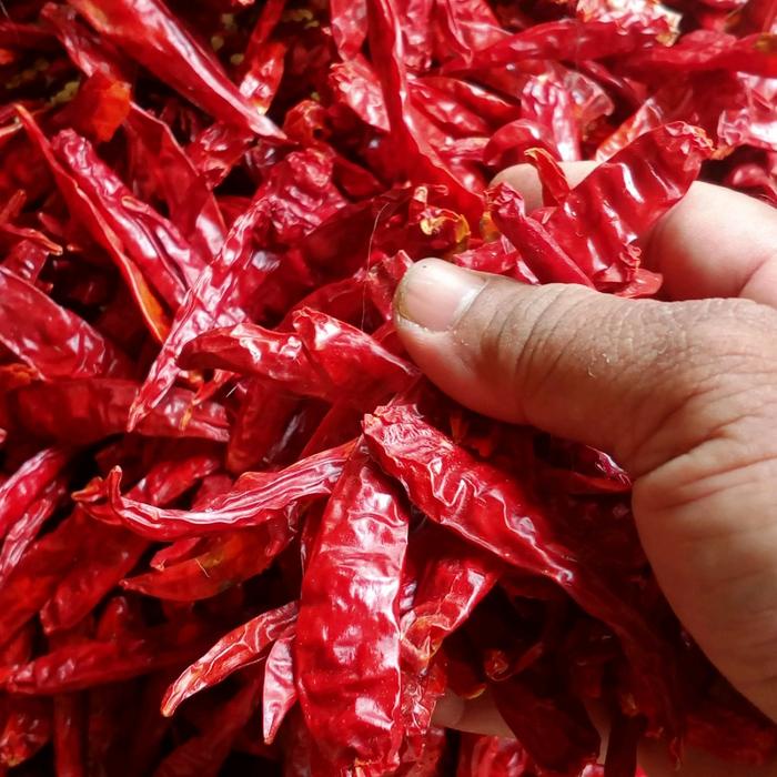 

ZidaPax CABE KERING TANPA TANGKAI 1 KG SUPER PEDASNYA HEMAT DAN IRIT