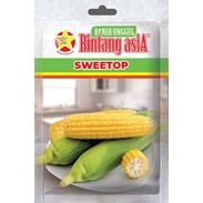 Benih Jagung Manis Sweetop Bintang Asia