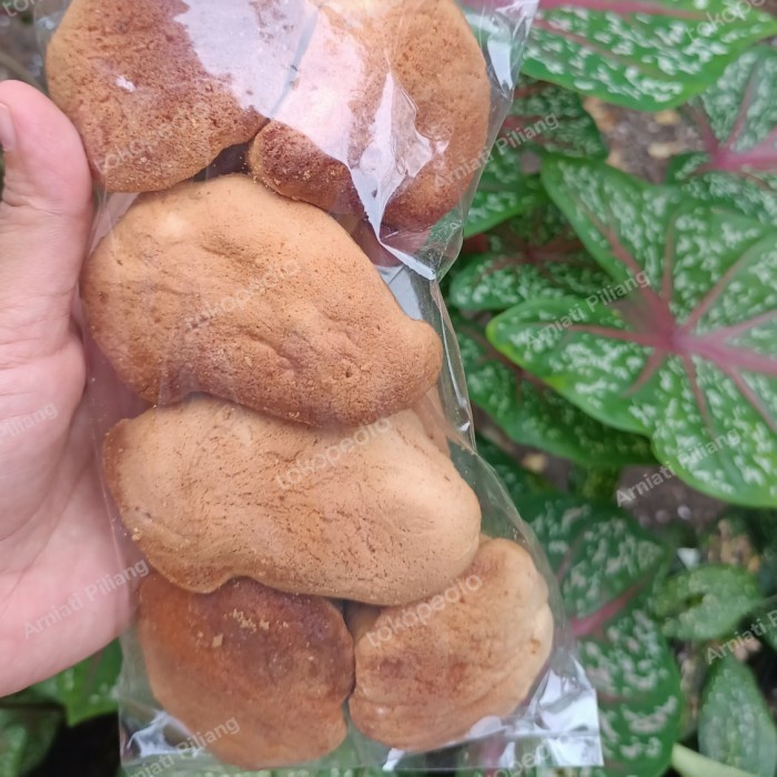 

CUCI GUDANG Kue Bolu Ikan - Bolu Jadul Kering - Kue Kering - Oleh-oleh Minang ZW130