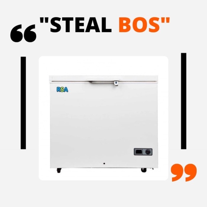 RSA chest freezer rsa 310 310liter freezer box rsa 310 chest freezer