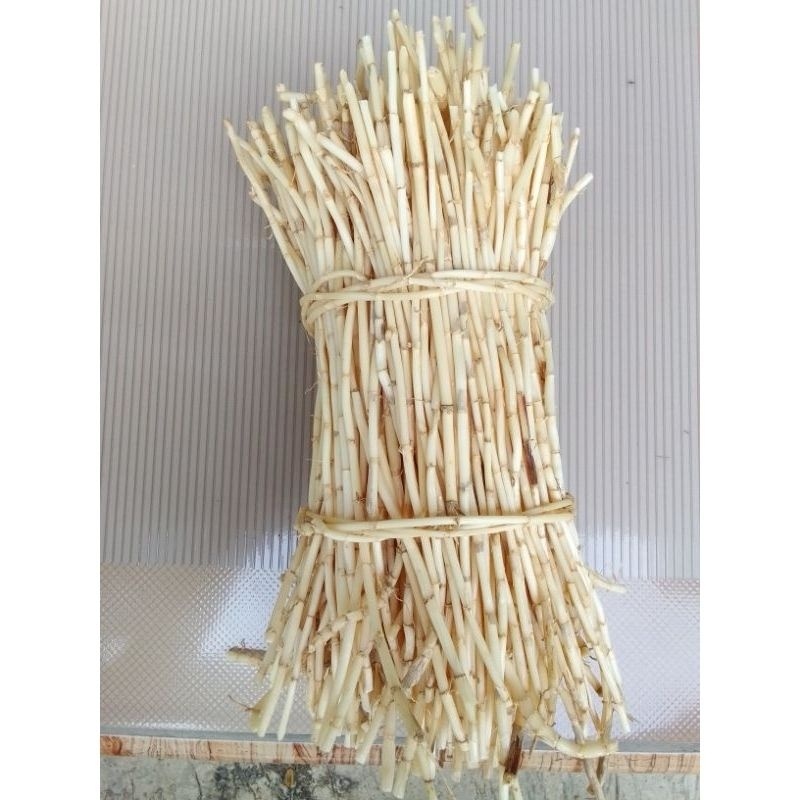 

FRESH AKAR ALANG ALANG SAEGAR 1KG AKAR ILALANG SEGAR