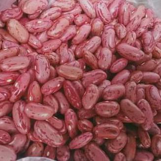 

Kuliner.Kita Kacang Merah 1 Kg