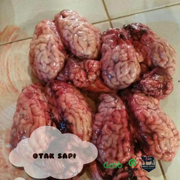 

Otak Sapi Lokal Per Pcs