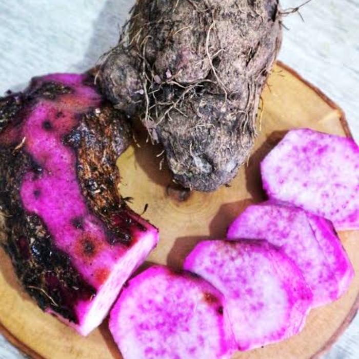 taisu talas ungu keribang thai su uwi ungu kalimantan pontianak