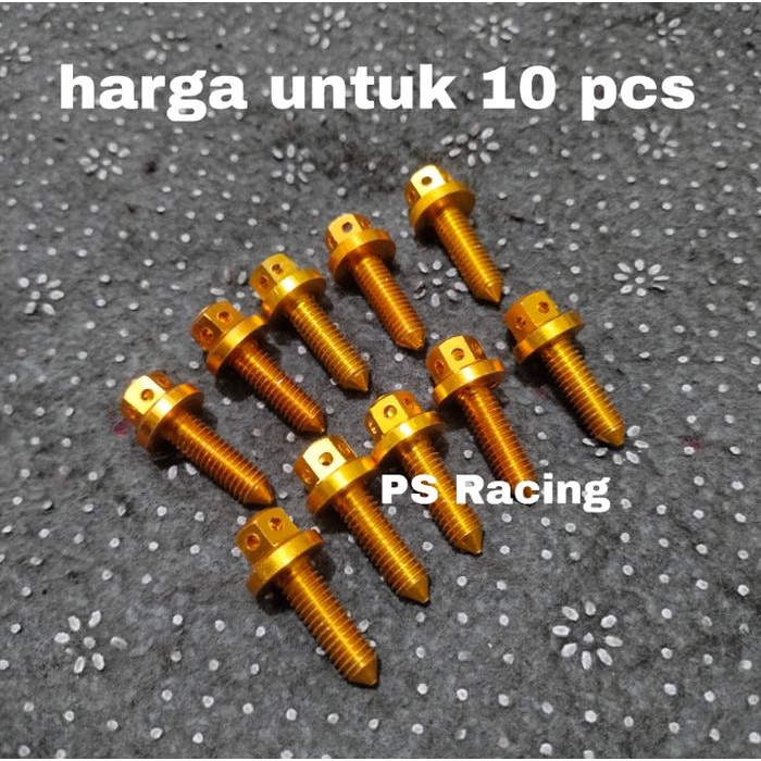Sudimampir 10 Pcs Baut Probolt Gold Ukuran Drat 10 Baut M6 Probolt Drat Halus
