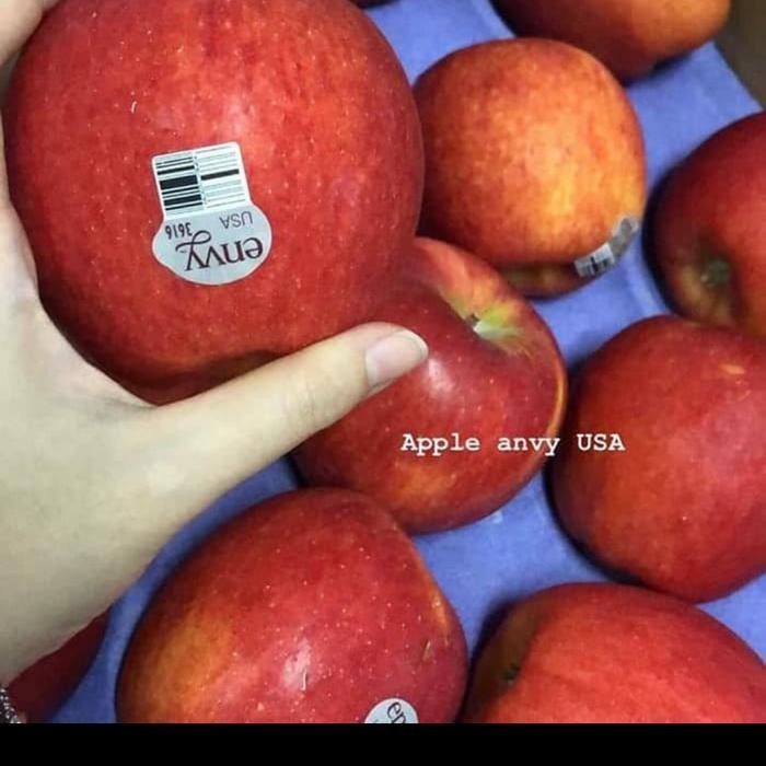 

BisaInstan- buah apel envy usa new zealand premium jumbo besar garing manis fresh