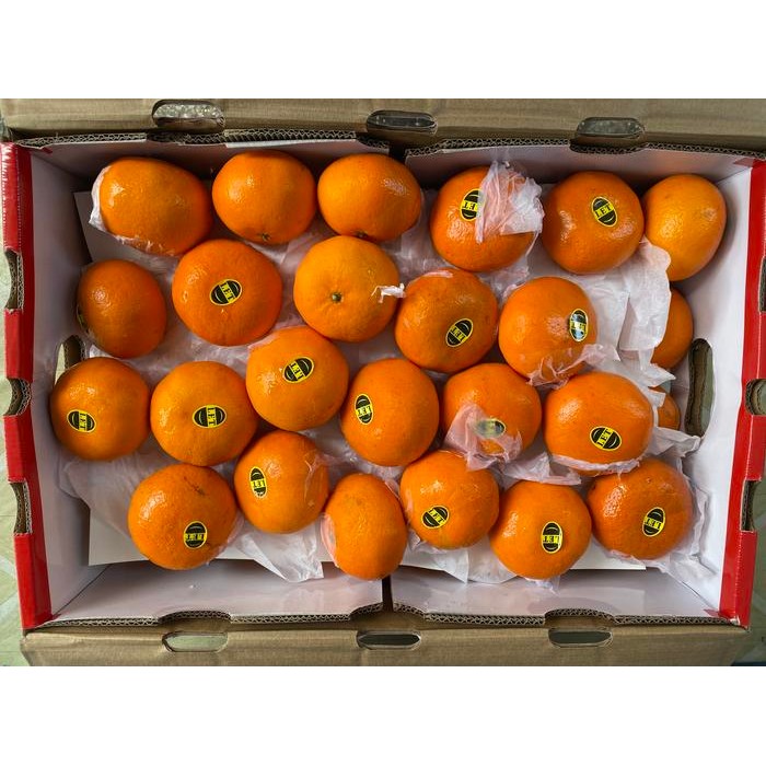 

BisaInstan- Buah jeruk mandarin wokam 1 dus