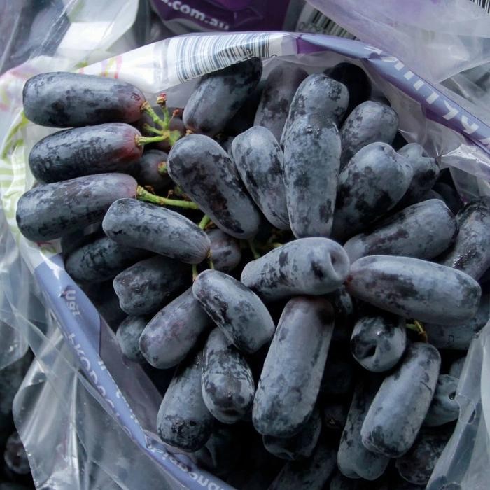 

BisaInstan- Anggur sweet sapphire Moondrops seedless 1kg