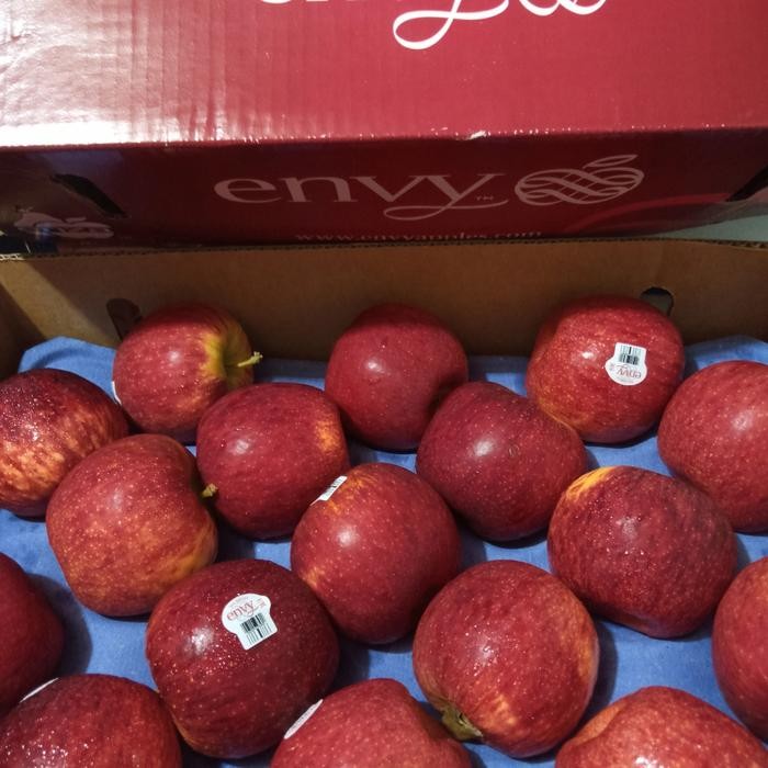 

BisaInstan- APEL ENVY NEW ZEALAND JUMBO GRADE 1 (10)KG FRESH IMPORT