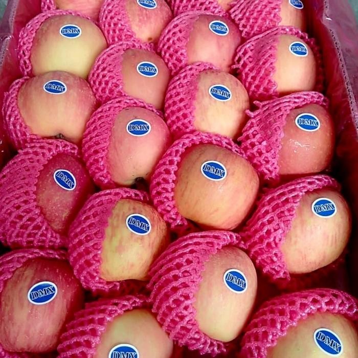 

BisaInstan- BUAH APEL FUJI FRESH IMPORT PER DUS