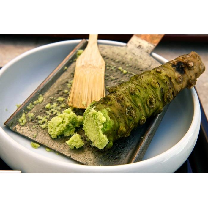 

BisaInstan- FRESH grated Real WASABI 15gr FROZEN Wasabi Asli Sushi Sashimi Japan