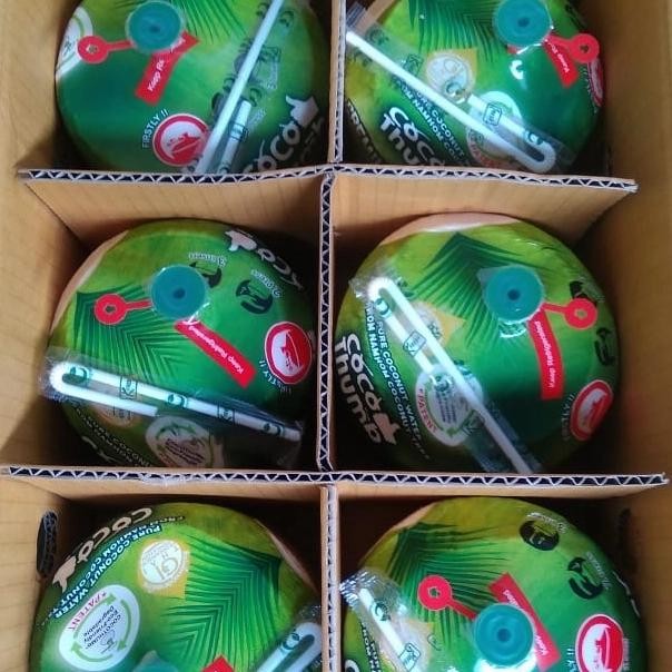 

BisaInstan- KELAPA COCO THUMB YOUNG THAI COCONUT 6 PCS FRESH IMPORT PER DUS