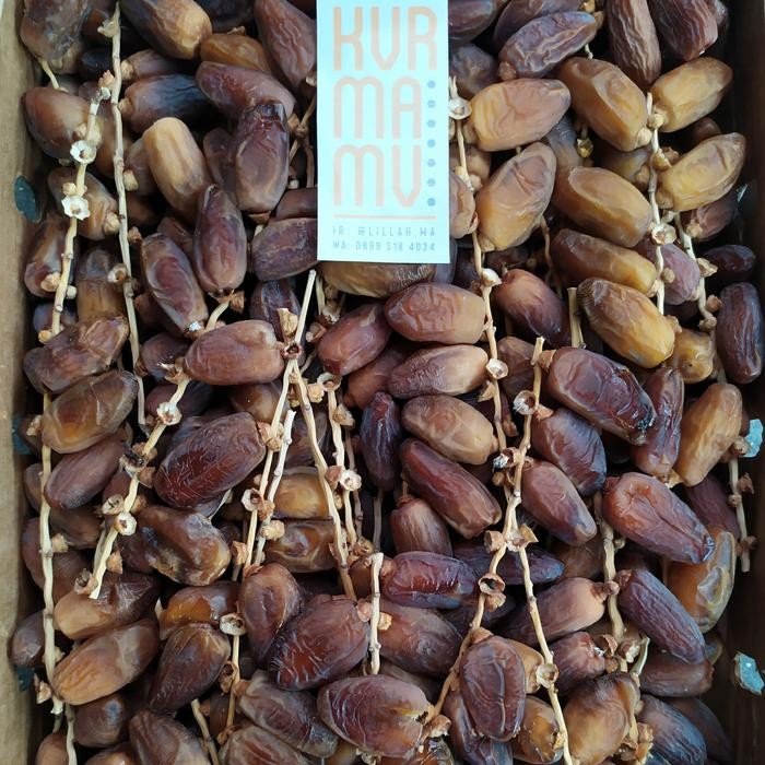 

Kirim,HariYgSama- 500gr Kurma Tunisia Tangkai/kurma deglet nour/oleh-oleh haji umroh