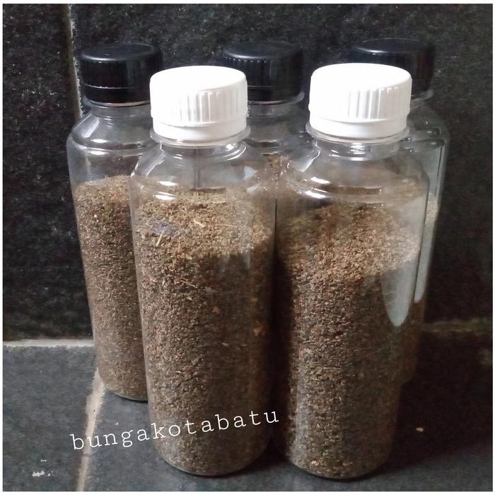 

Benih Sayur Seledri Kemasan 1 Ons *