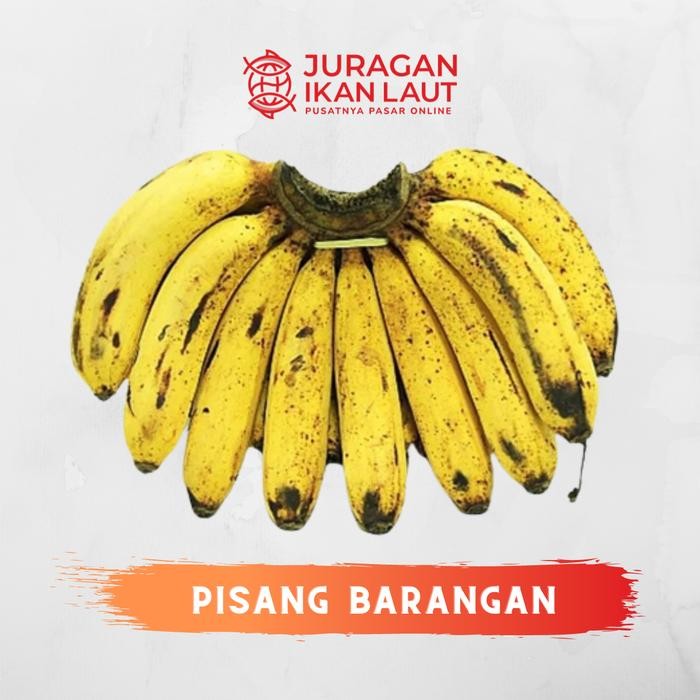 

NewZbgt- Buah Pisang Barangan Medan Berkualitas - 1 Sisir