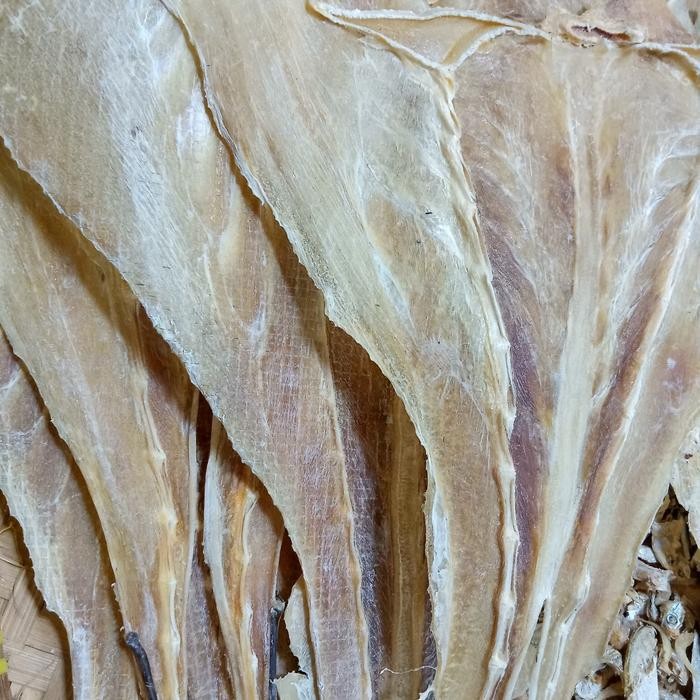 

NewZbgt- Ikan Pari Tipis khas Medan 100gr