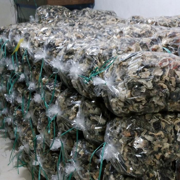 

NewZbgt- KERIPIK KULIT IKAN PATIN ORIGINAL 500 GR, cemilan sehat Food Snacks Kering Kerupuk