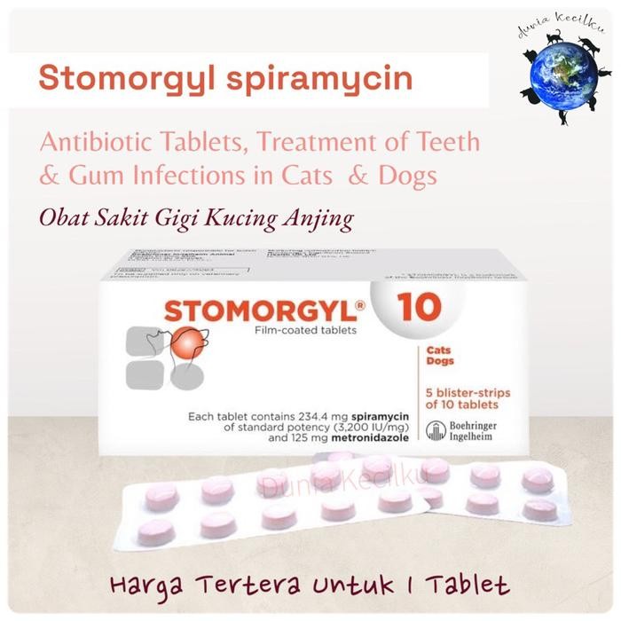 Stomorgyl Obat Sakit Gigi / Infeksi Mulut / Radang Gusi Kucing Anjing