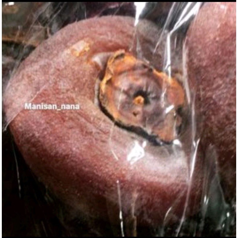 

Sajiandapur Manisan Kering Kesemak / Saipia Coklat (250Gram)