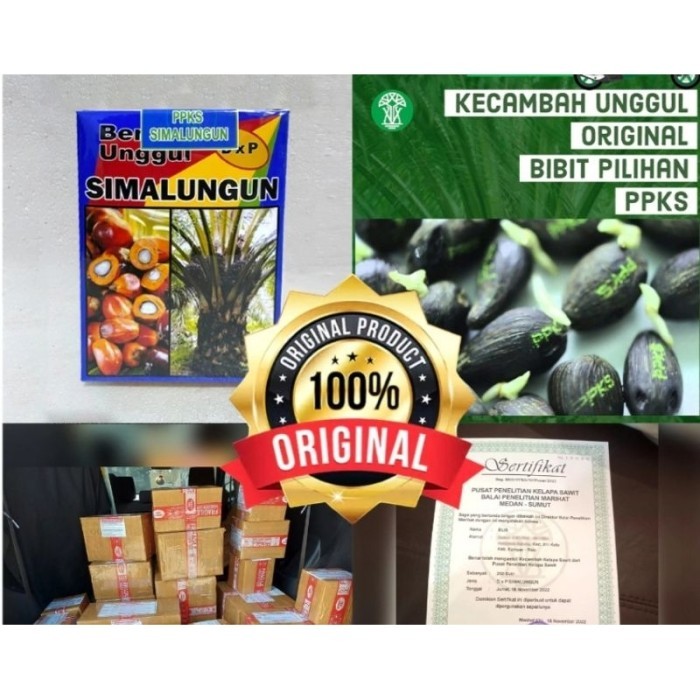 polong_sawit_PPKS_SIMALUNGUN