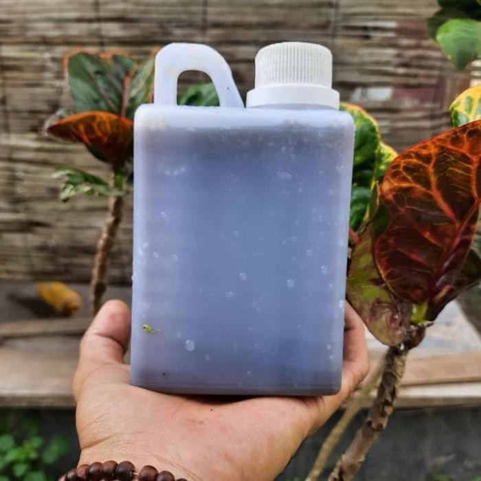 Asam amino premium,pupuk asam amino super,asam amino pertanian,kemasan 500 ml