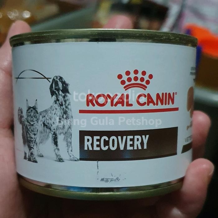 royal canin recovery