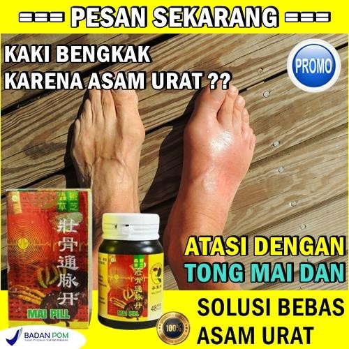NEW obat asam urat kaki bengkak herbal obat cina dong mai pill 48 pil BPOM IA374