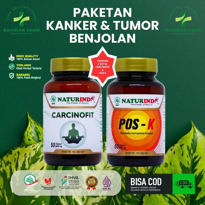 STOK TERBATAS Herbal Benjolan Kanker Payudara Tumor Original Naturindo Carcinofit dan Pos k BPOM