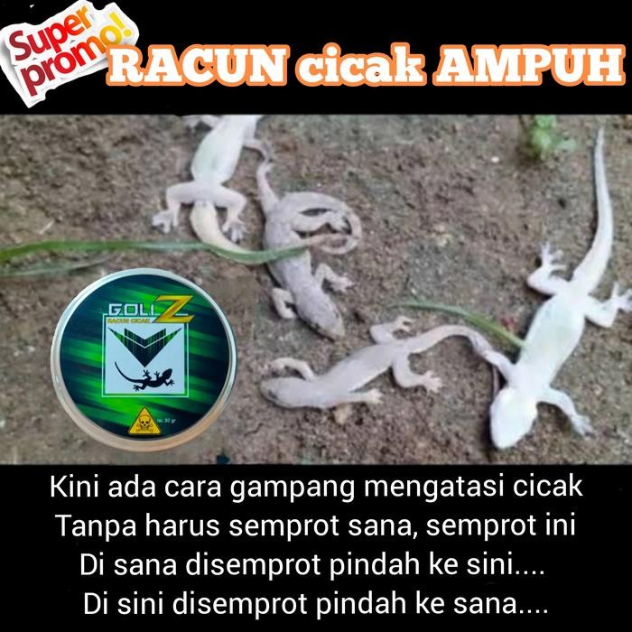 Goliz Racun Cicak Alami / Racun Cicak Ampuh / Pengusir Cicak