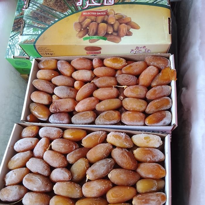 

New KURMA MUDA RUTHOB LIBYA FRESH PROMIL FROZEN 1 KG