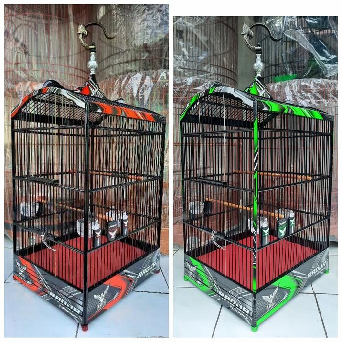 sangkar radja kotak decal premium terbaru