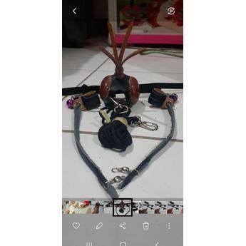 hood+anglet burung elang bondol . bk terbaru