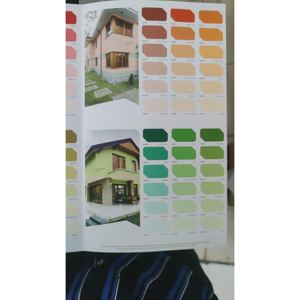 Lilissto Shop Cat Tembok - Cat Interior - Cat Envi 5Kg Warna Bebas - Indaco