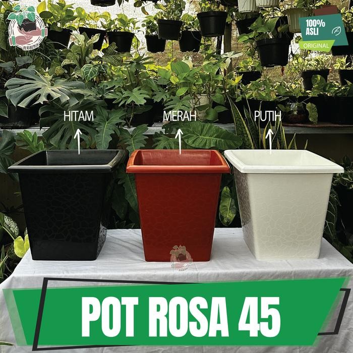 Thinkerbelllll Pot Bunga Kotak Putih Besar 40 Rosa Pot Taman Tanaman Hias Buah Kuat