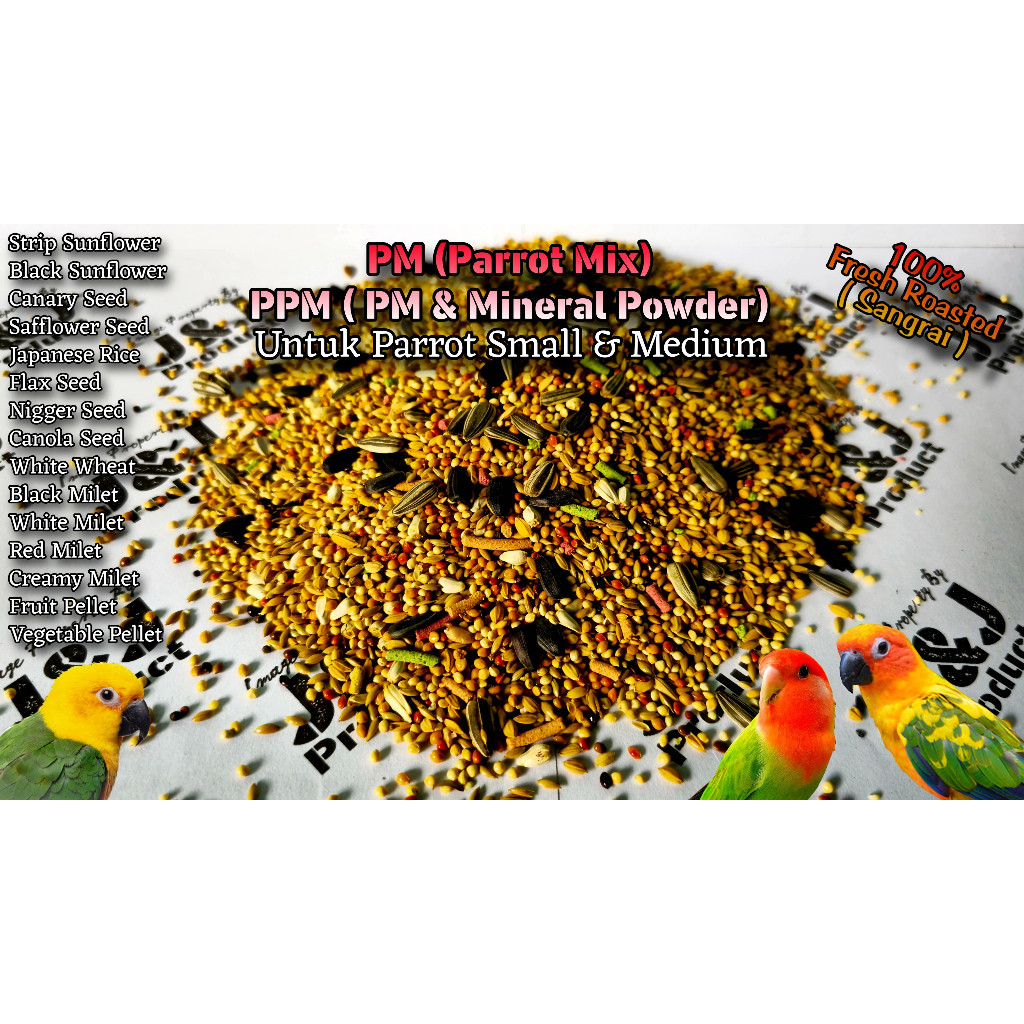 Paan Burung 10G Jj Parrot Parrot Pharmacy Finch
