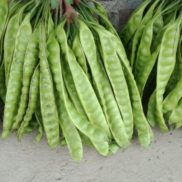 

Pete Petai Segar per papan *