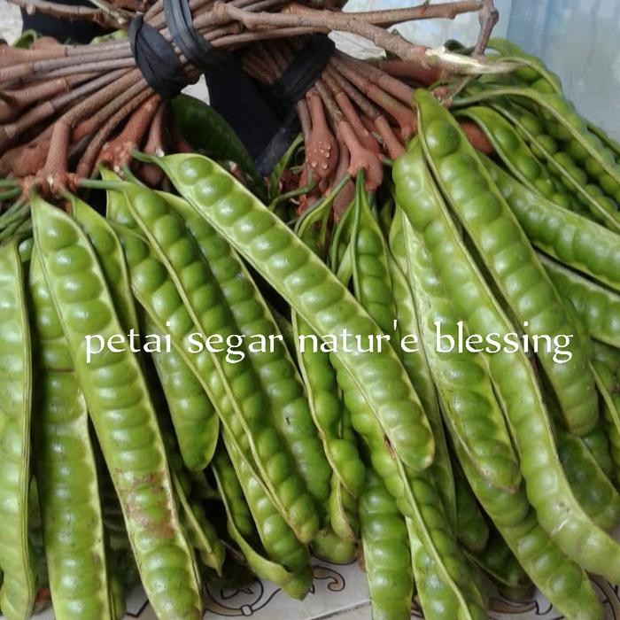 

Pete/petai segar kualitas super isi 10papan *