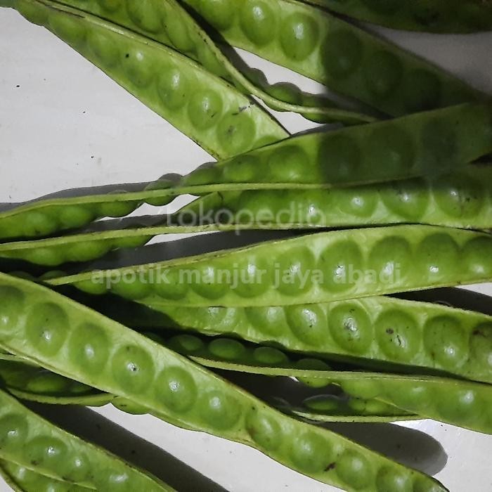 

PETAI PETE 1 PAPAN *