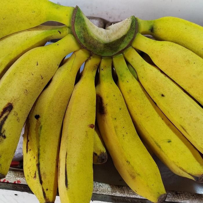 

PastikanDikirimLgsg- PISANG RAJA BULU KUNING,MANTAP, MANIS, FRESH (1 SISIR)
