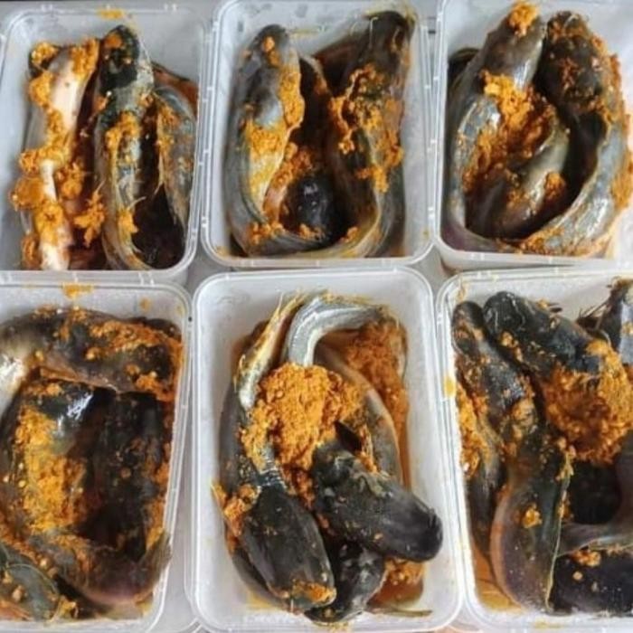 

PastikanDikirimLgsg- Lele Bumbu Kuning Siap Goreng /ikan lele frozen food bogor lauk instan