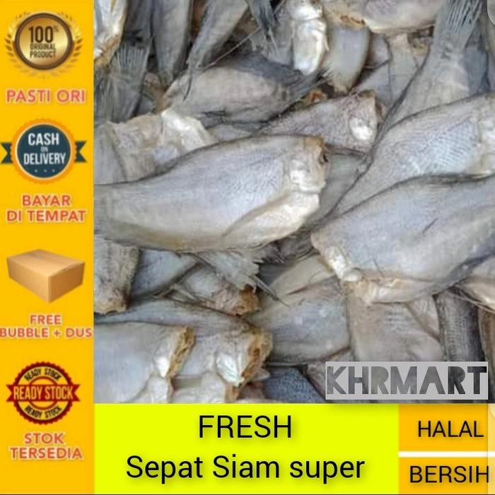 

PastikanDikirimLgsg- Ikan asin sepat GRADE AA-1kg KHR