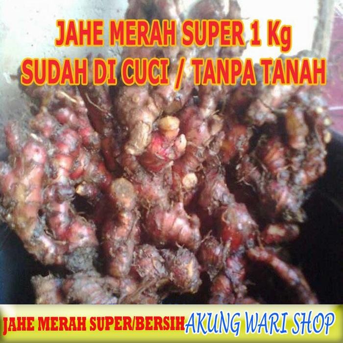 

New Jahe Merah Medan Super 1 kg (sudah di cuci)