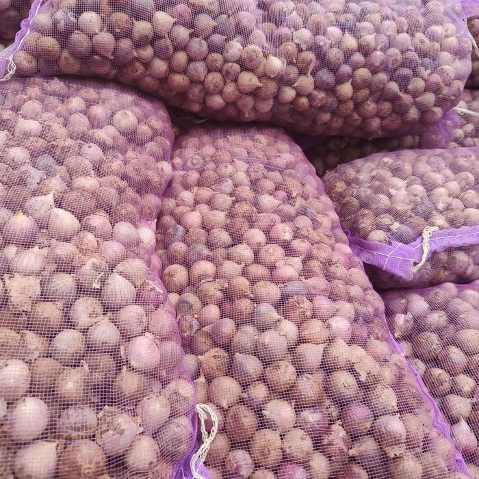 

BAWANG PUTIH TUNGGAL UKURAN MEDIUM 1KG