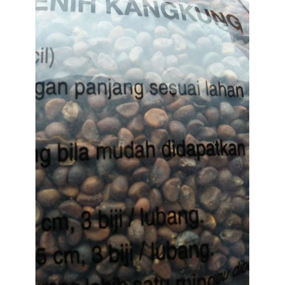 Evergreeeen Bibit Kangkung Super 1 Kg