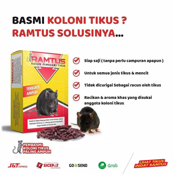 3 Pack Ramtus Racun Tikus Ampuh