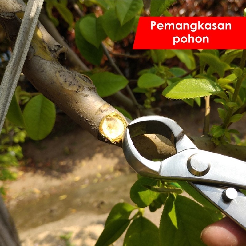 Gunting Dahan Pemotong Catok Bonsai Cembung 21cm Cabang Pohon Berkebun Tanaman Hias