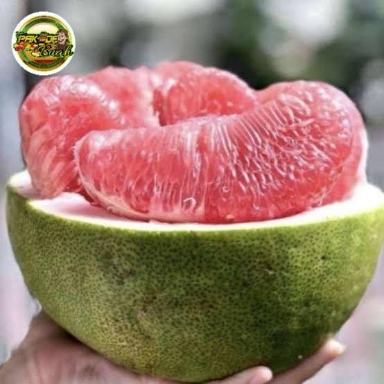 

Murah JERUK BALI JERUK BESAR / PAMELO MANIS BUAH SEGAR / 1 BUAH Terbaik