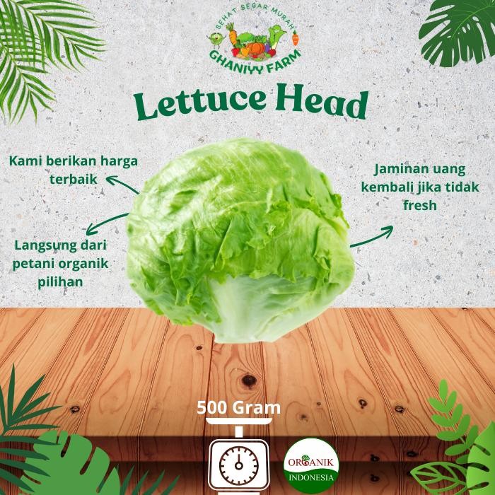 

BnyKBonusBelidiMari- Sayur Organik Murah Segar by Organik Indonesia Lettuce head Organik