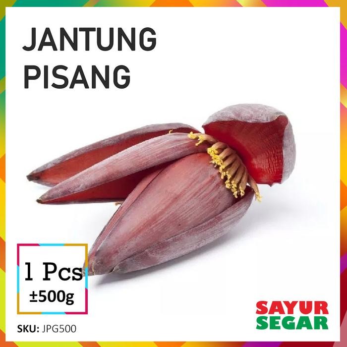 

BnyKBonusBelidiMari- JANTUNG PISANG SAYUR [1 Buah, 500g]